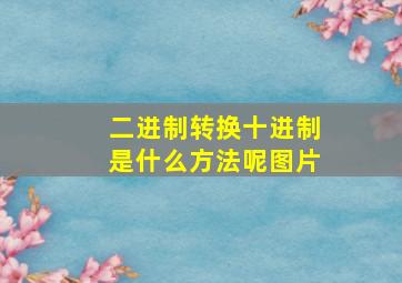 二进制转换十进制是什么方法呢图片