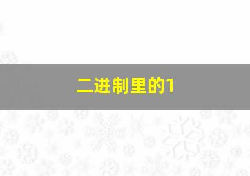 二进制里的1