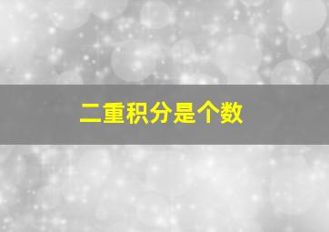 二重积分是个数