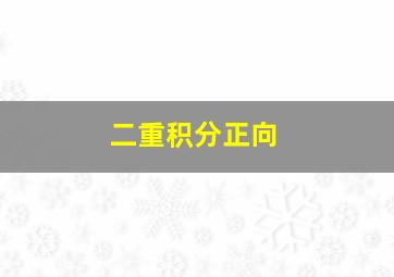 二重积分正向