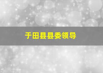 于田县县委领导