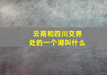 云南和四川交界处的一个湖叫什么