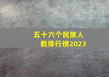 五十六个民族人数排行榜2023