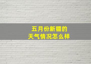 五月份新疆的天气情况怎么样