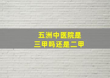 五洲中医院是三甲吗还是二甲