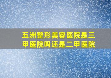 五洲整形美容医院是三甲医院吗还是二甲医院