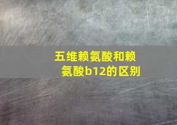 五维赖氨酸和赖氨酸b12的区别