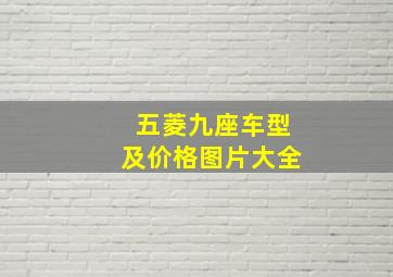 五菱九座车型及价格图片大全