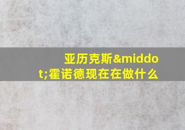 亚历克斯·霍诺德现在在做什么