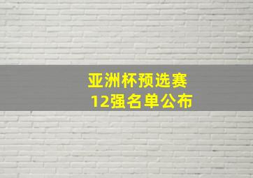 亚洲杯预选赛12强名单公布