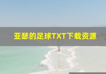 亚瑟的足球TXT下载资源