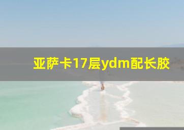 亚萨卡17层ydm配长胶