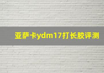 亚萨卡ydm17打长胶评测