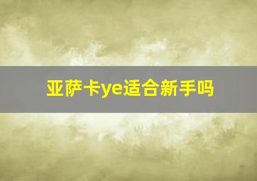 亚萨卡ye适合新手吗