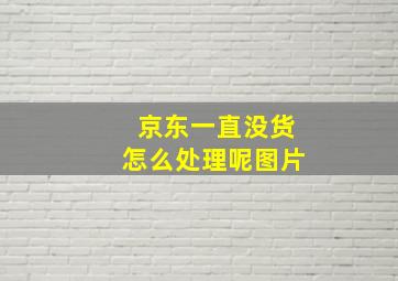 京东一直没货怎么处理呢图片