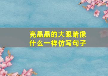 亮晶晶的大眼睛像什么一样仿写句子