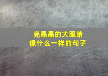 亮晶晶的大眼睛像什么一样的句子