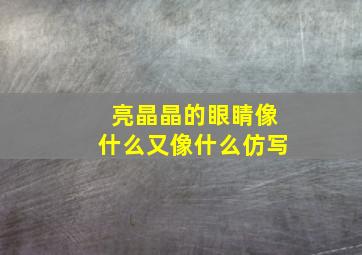 亮晶晶的眼睛像什么又像什么仿写