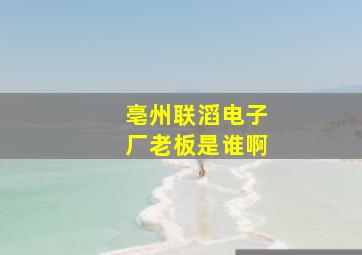 亳州联滔电子厂老板是谁啊