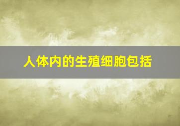 人体内的生殖细胞包括