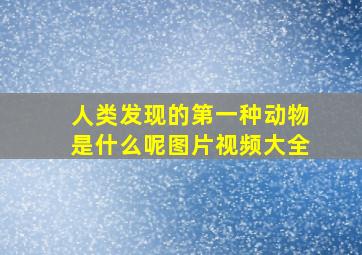 人类发现的第一种动物是什么呢图片视频大全