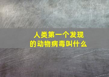 人类第一个发现的动物病毒叫什么