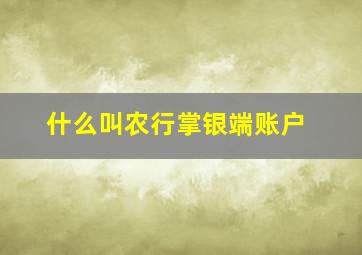 什么叫农行掌银端账户