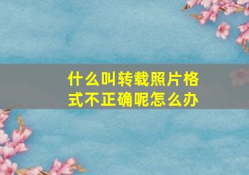 什么叫转载照片格式不正确呢怎么办