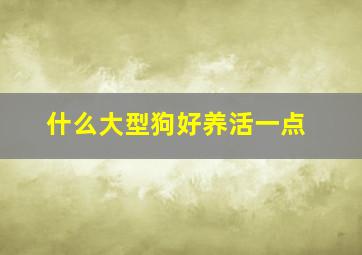 什么大型狗好养活一点