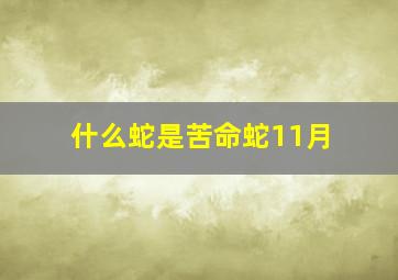 什么蛇是苦命蛇11月