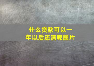 什么贷款可以一年以后还清呢图片