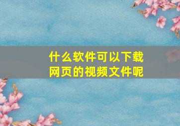 什么软件可以下载网页的视频文件呢