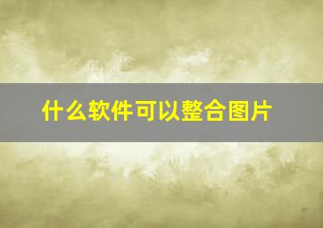 什么软件可以整合图片