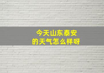 今天山东泰安的天气怎么样呀