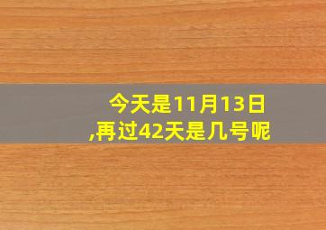 今天是11月13日,再过42天是几号呢