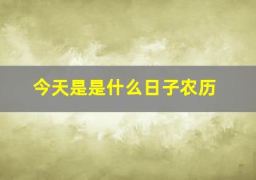 今天是是什么日子农历