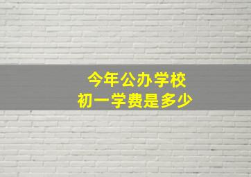 今年公办学校初一学费是多少