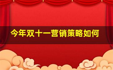 今年双十一营销策略如何