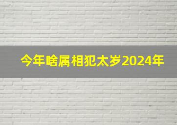 今年啥属相犯太岁2024年