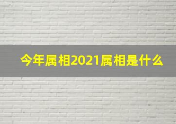 今年属相2021属相是什么