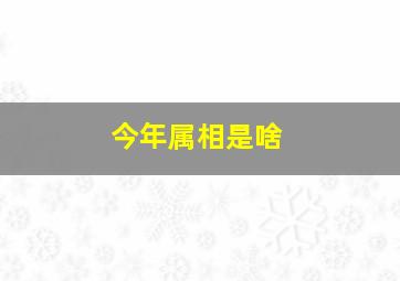 今年属相是啥