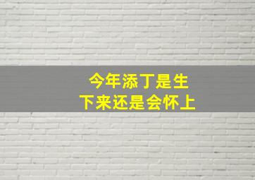 今年添丁是生下来还是会怀上