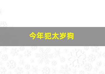 今年犯太岁狗