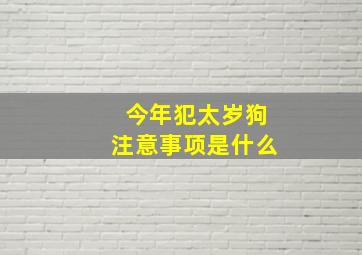 今年犯太岁狗注意事项是什么