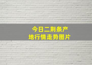 今日二荆条产地行情走势图片