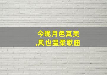 今晚月色真美,风也温柔歌曲