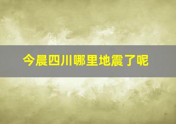 今晨四川哪里地震了呢