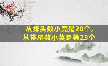 从排头数小亮是20个,从排尾数小英是第23个