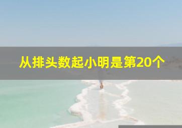 从排头数起小明是第20个