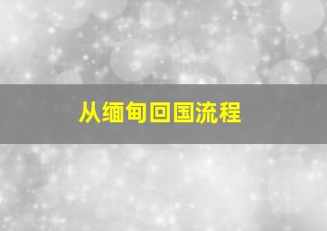 从缅甸回国流程